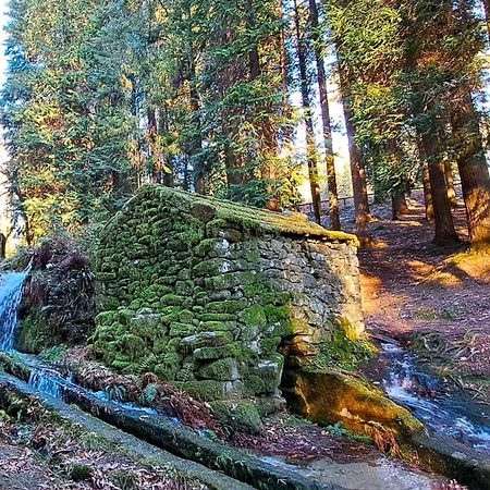 Matos Casas De Campo Cabeceiras de Basto Esterno foto