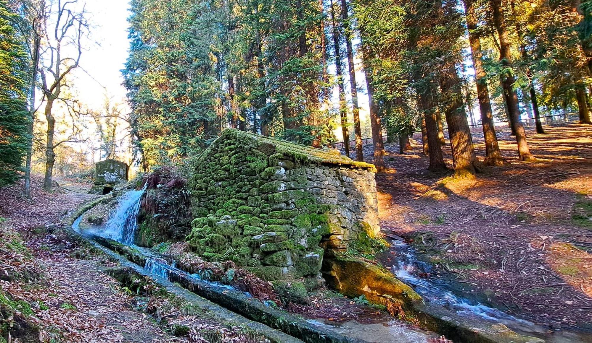 Matos Casas De Campo Cabeceiras de Basto Esterno foto