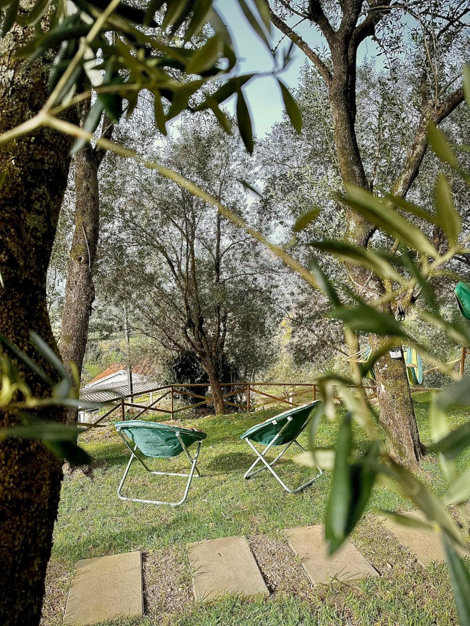 Matos Casas De Campo Cabeceiras de Basto Esterno foto
